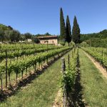 Obiettivo Vite – immagine video teaser