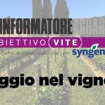YT Obiettivo Vite 2021 teaser