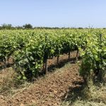 Sito OV 2021 Brindisi 1