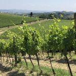 Sito OV 2021 Toscana 1