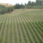 Sito OV 2021 Toscana 2