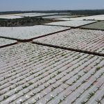 Puglia 2022