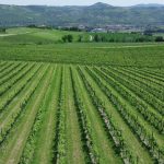 Obiettivo Vite – presentazione 2023